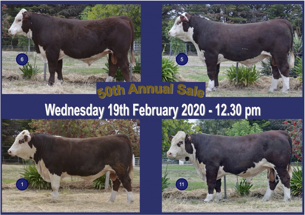 2020 Bull Sale