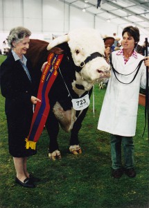 Ennerdale Scandal Senior Champion Bull Sydney Royal 2001